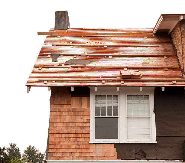 Best Historical Building Siding Restoration  in Del Norte, CO